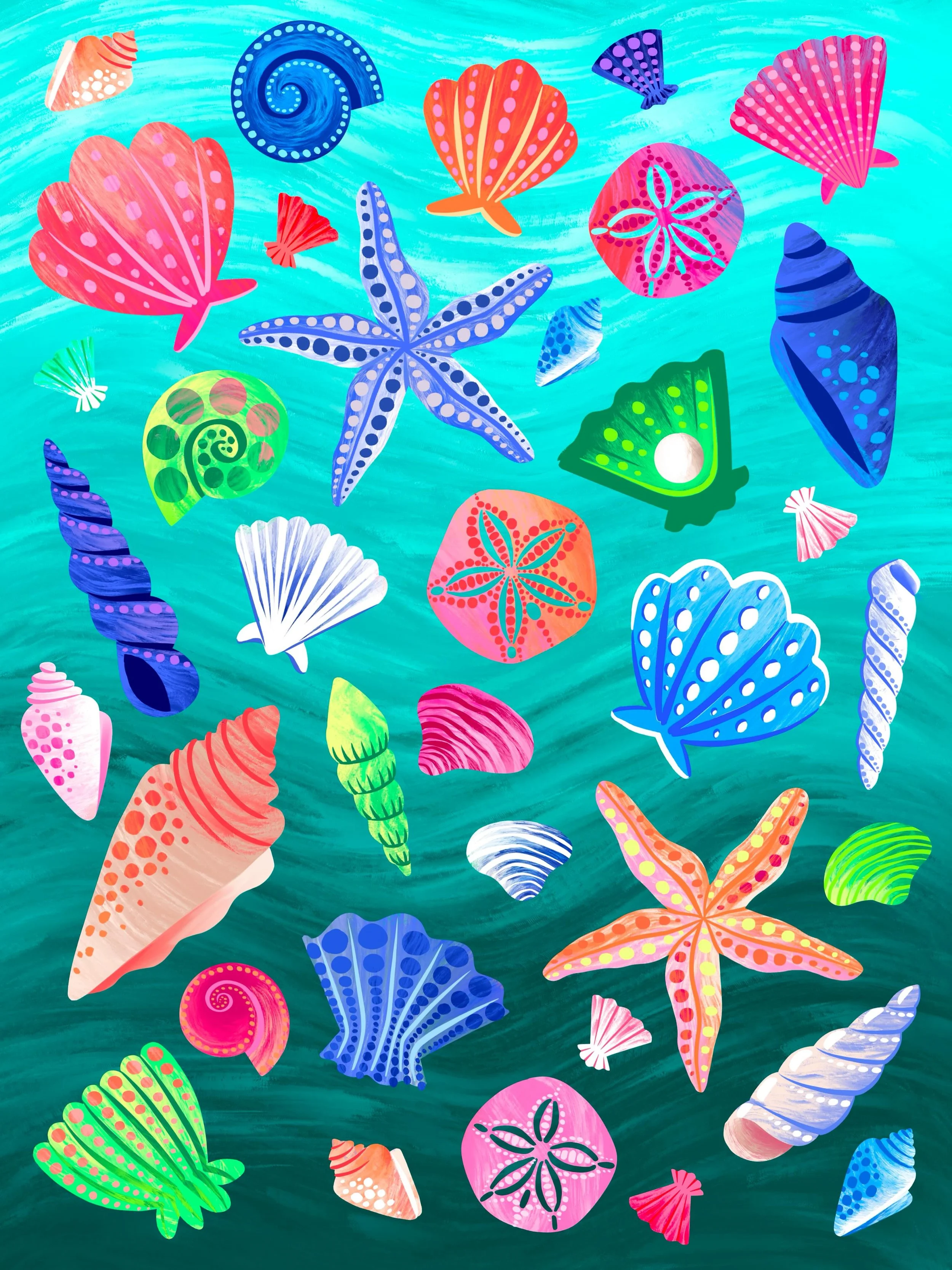 🐚🐚🐚