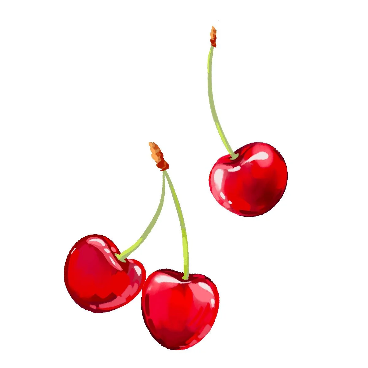 Cherries 9.jpg