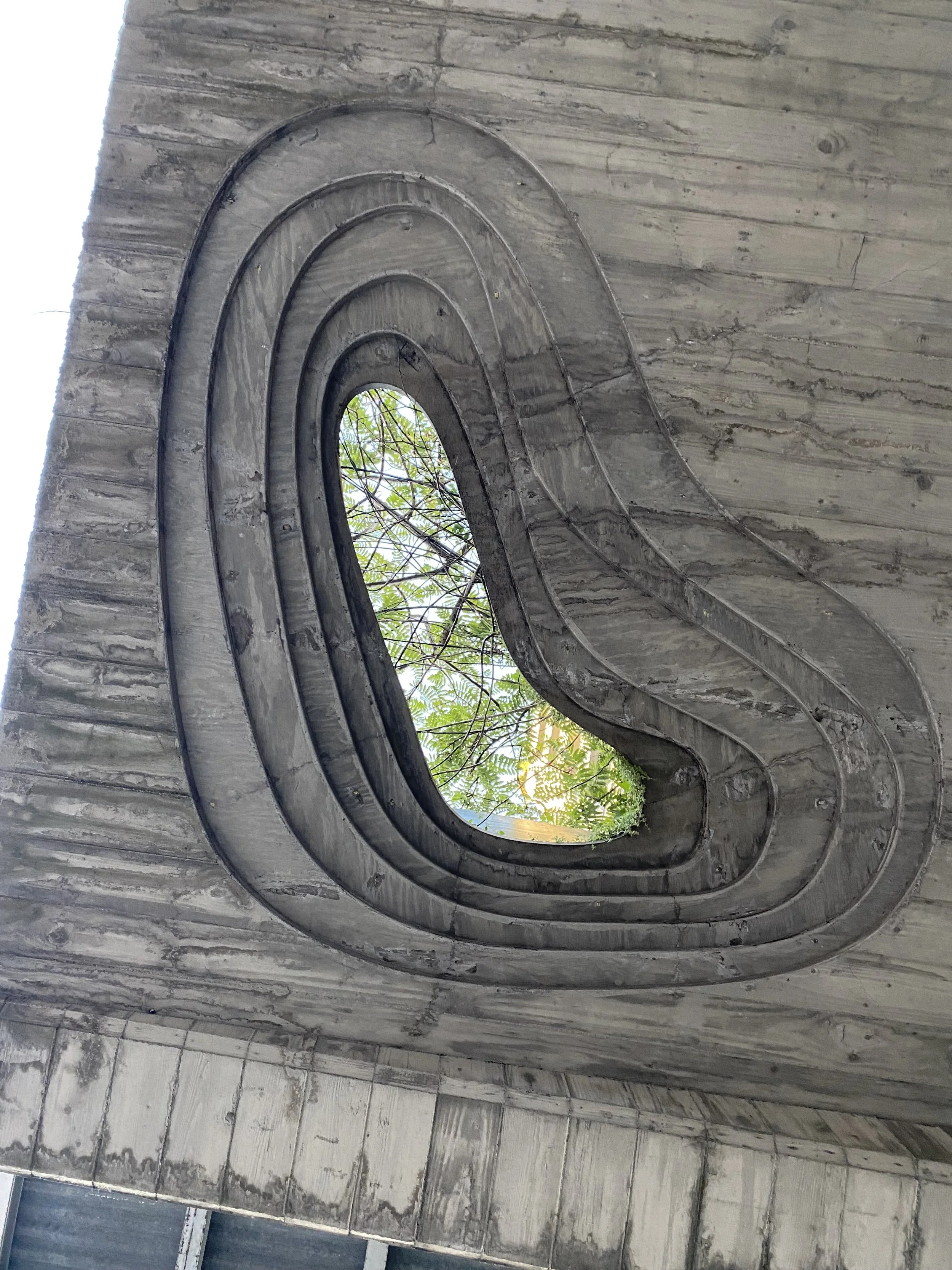 IMG_3619.jpeg