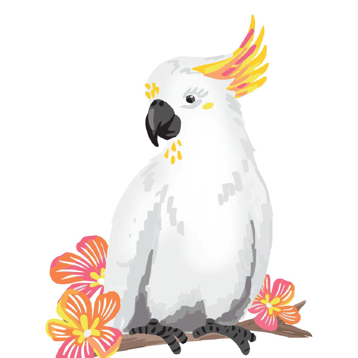 Cockatoo 5.png