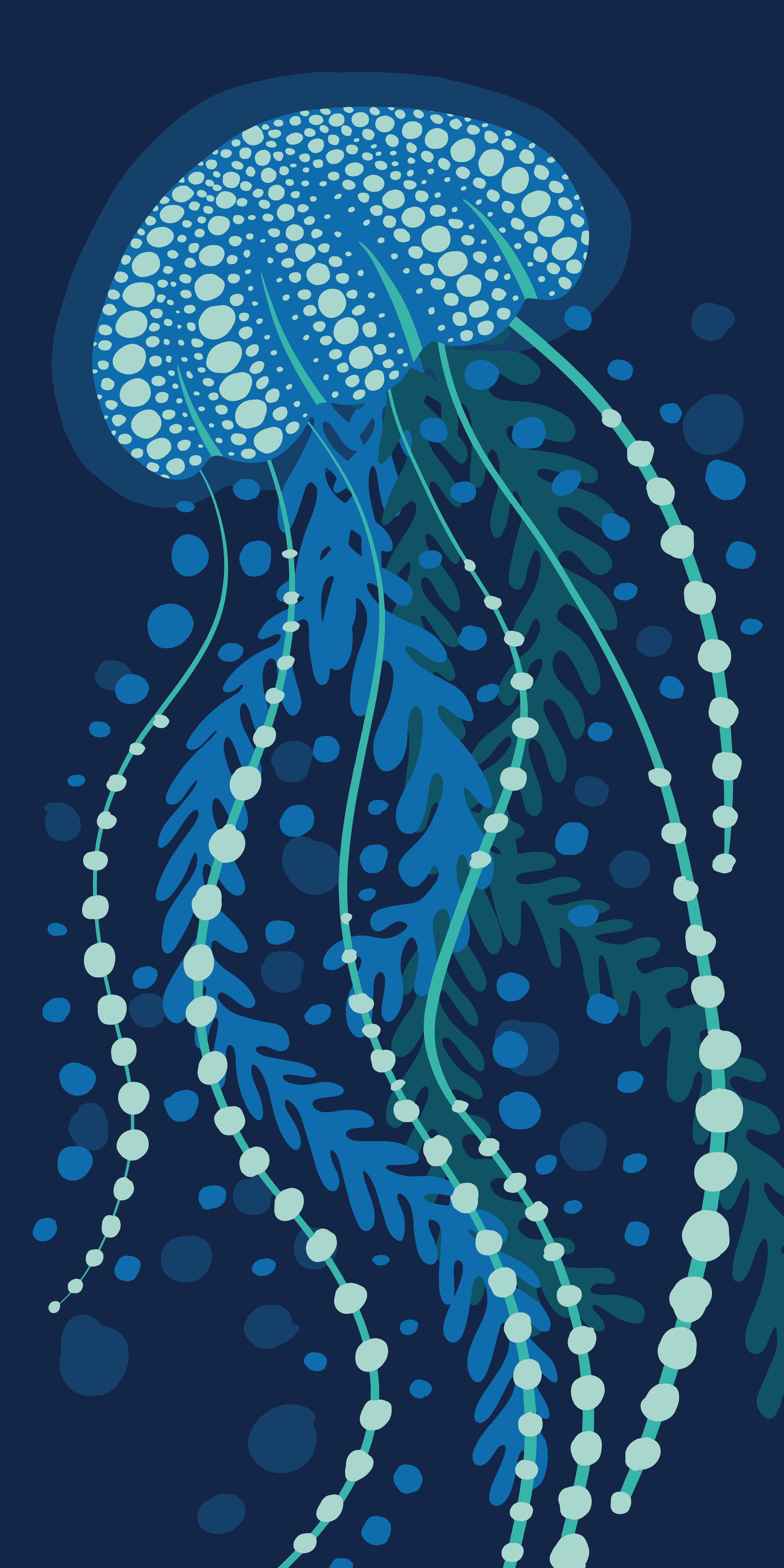 Jellyfish.jpg