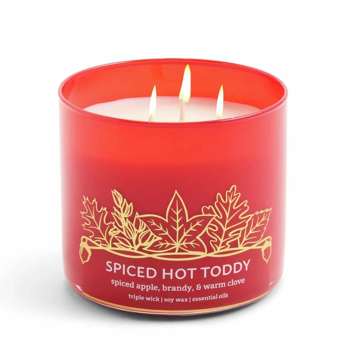 746 FA26 CANDLES_SPICED HOTTY TODDY STICKER.jpg