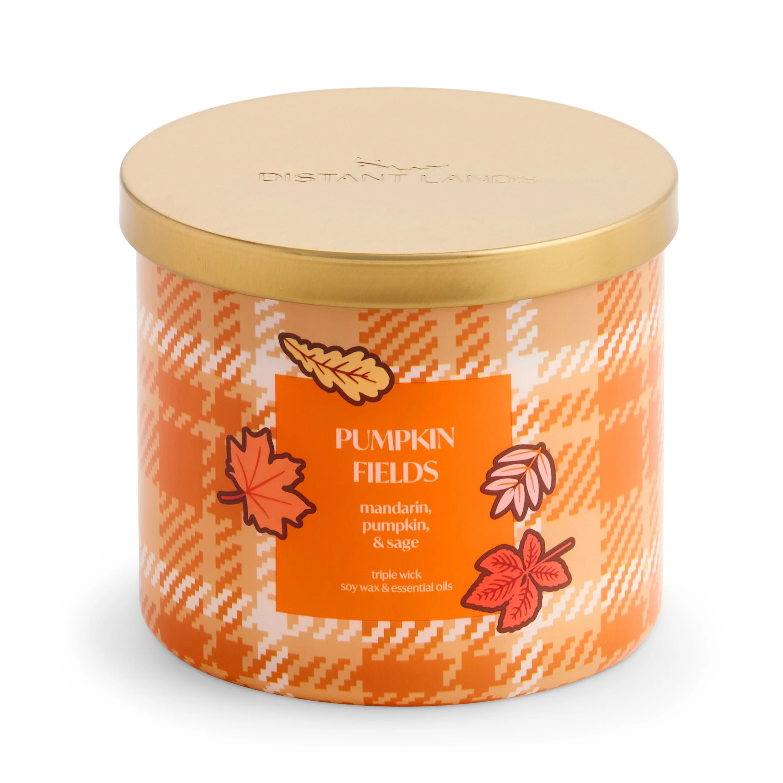 7462242A_O_JCP_AV_PUMPKINFIELDS.jpg