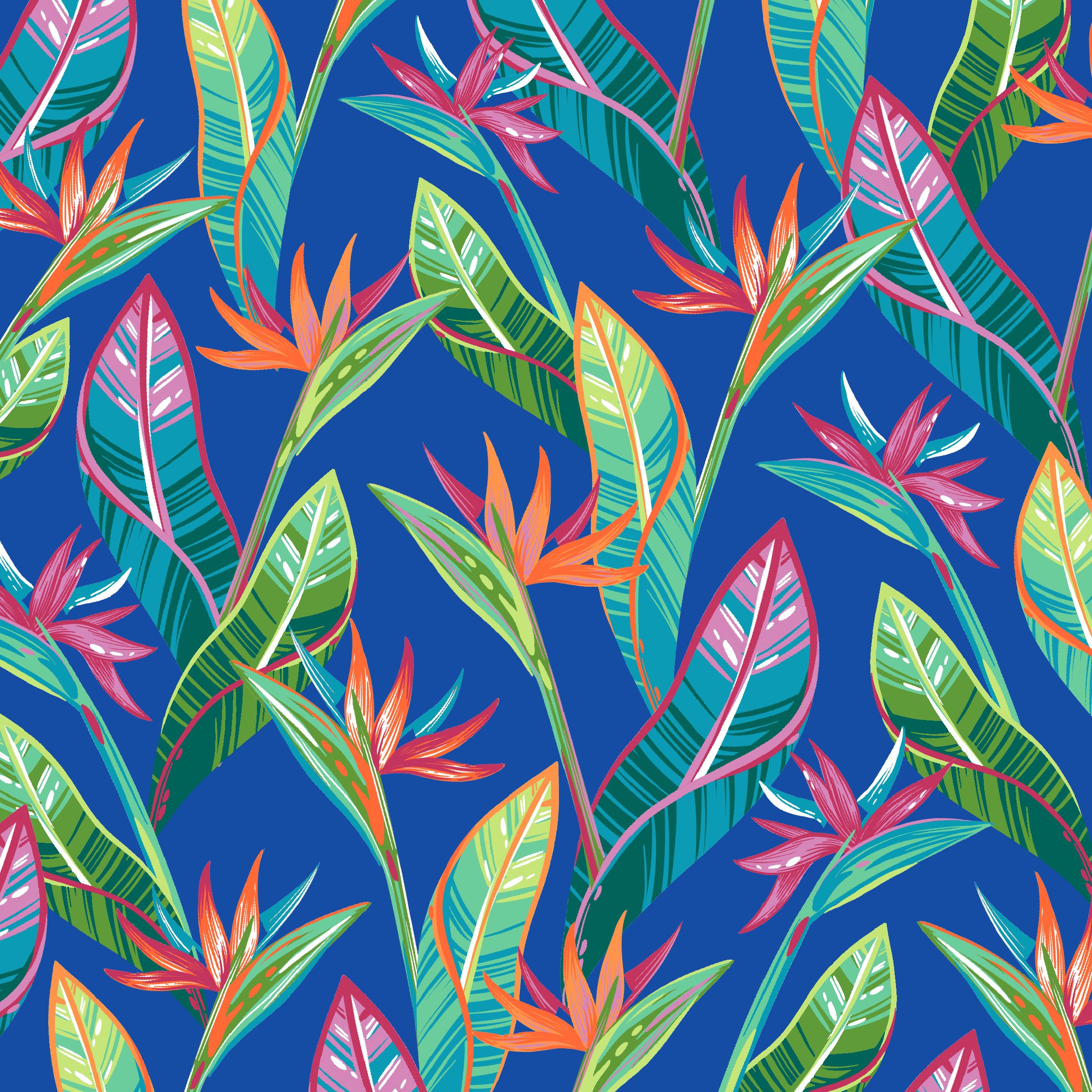 Birds of Paradise Print.jpg