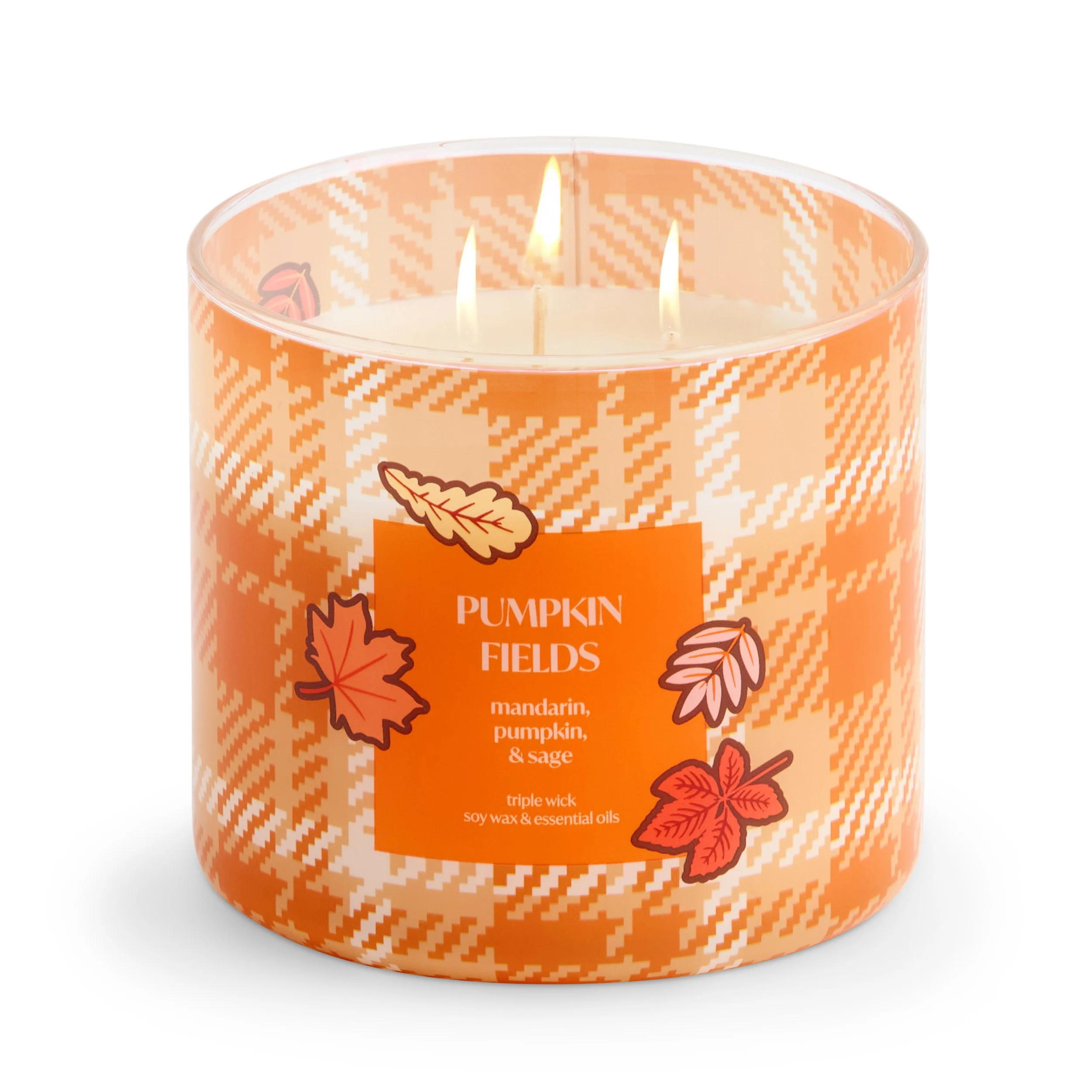 7462242A_O_JCP_FV_PUMPKINFIELDS.jpg