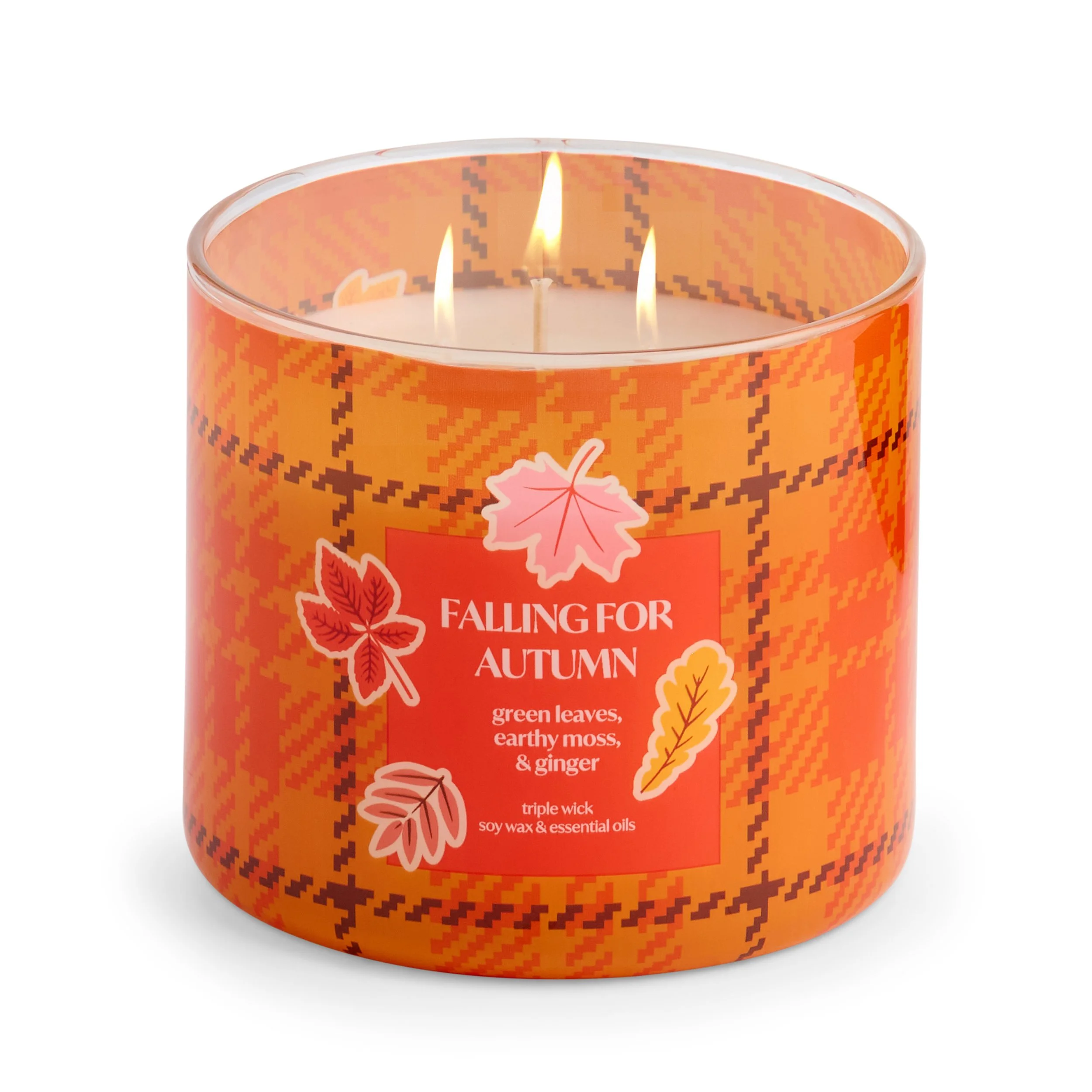 7462240A_O_JCP_FV_FALLINGFORAUTUMN.jpg