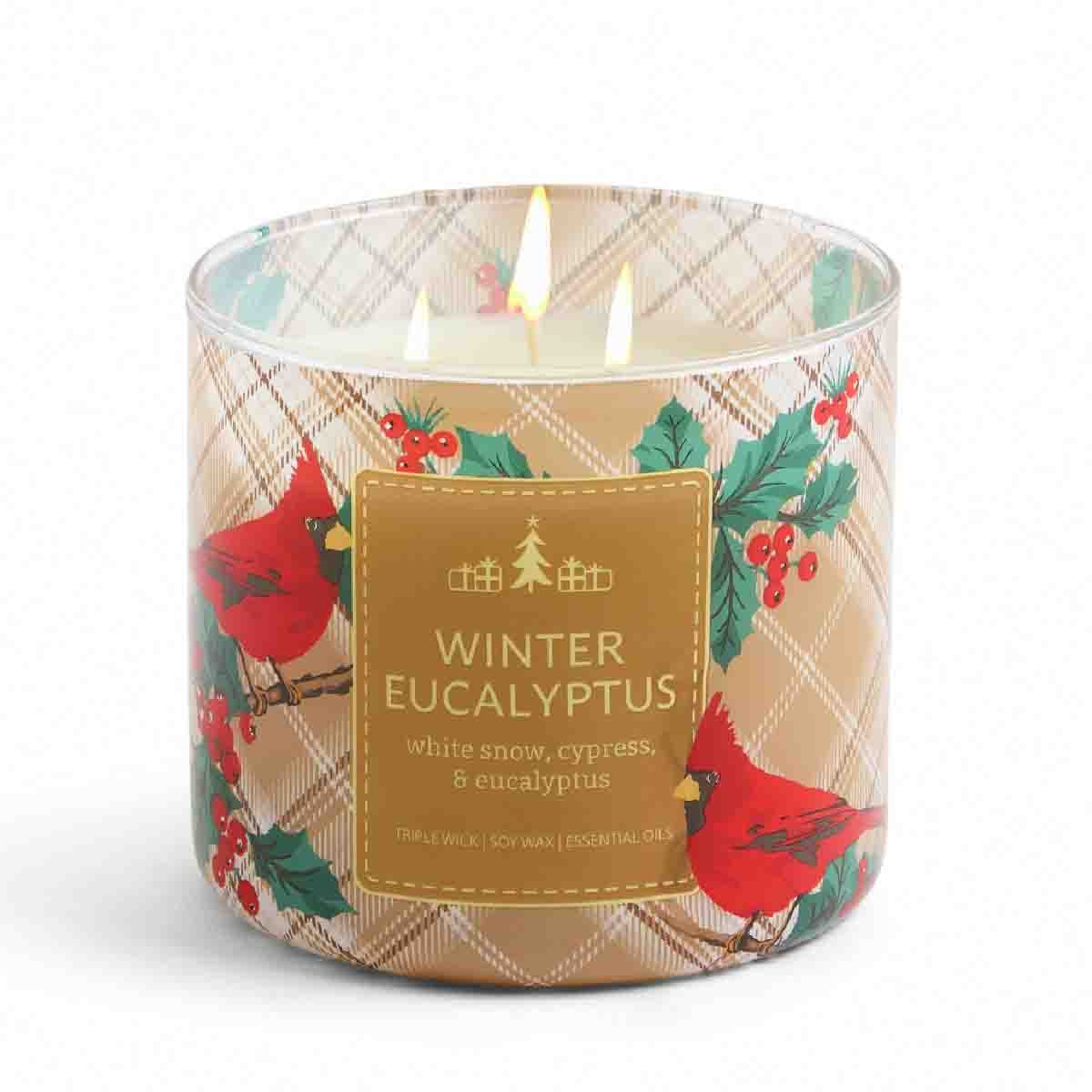 Winter Eucalyptus.jpg