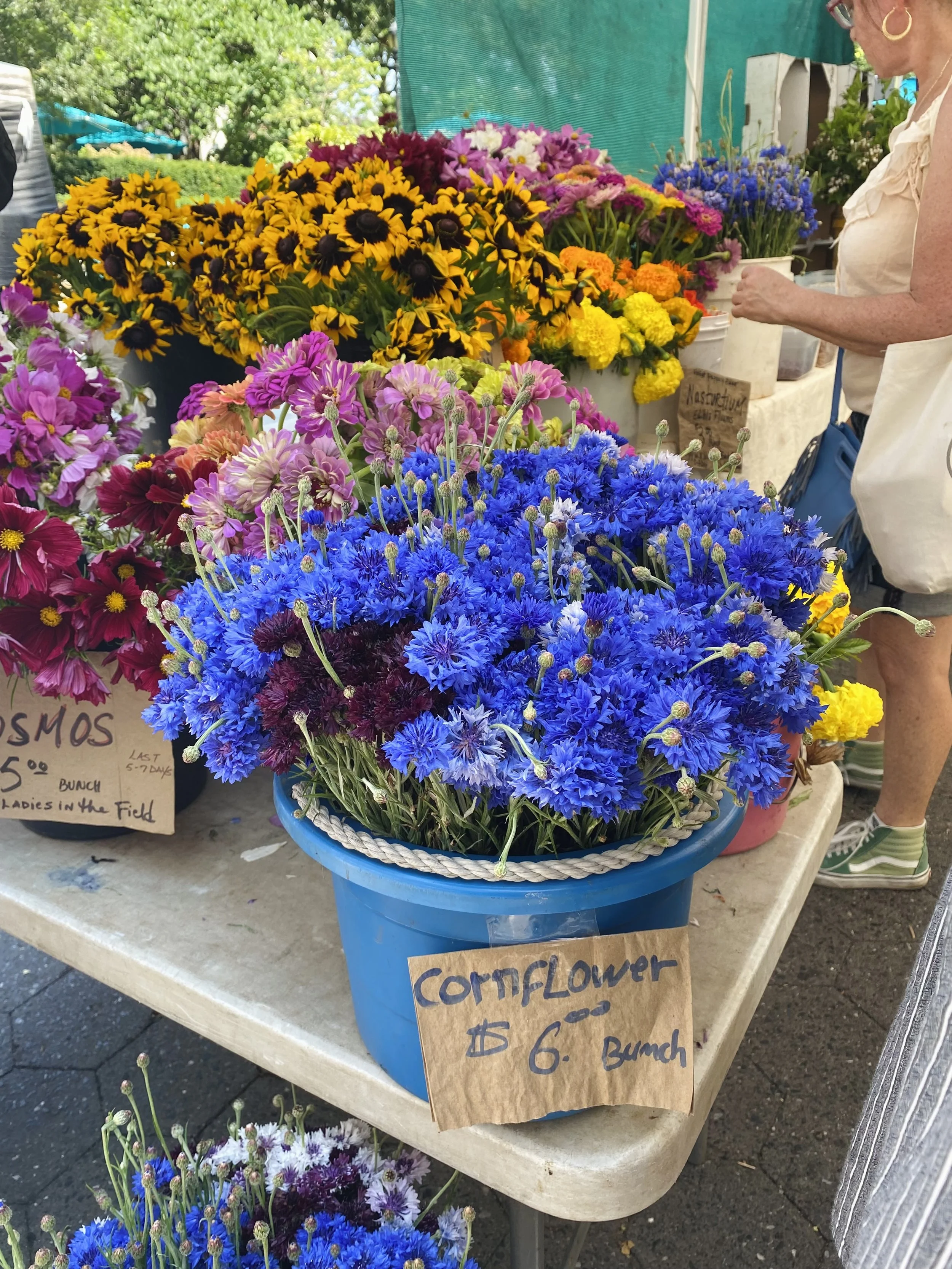 IMG_0707.jpeg