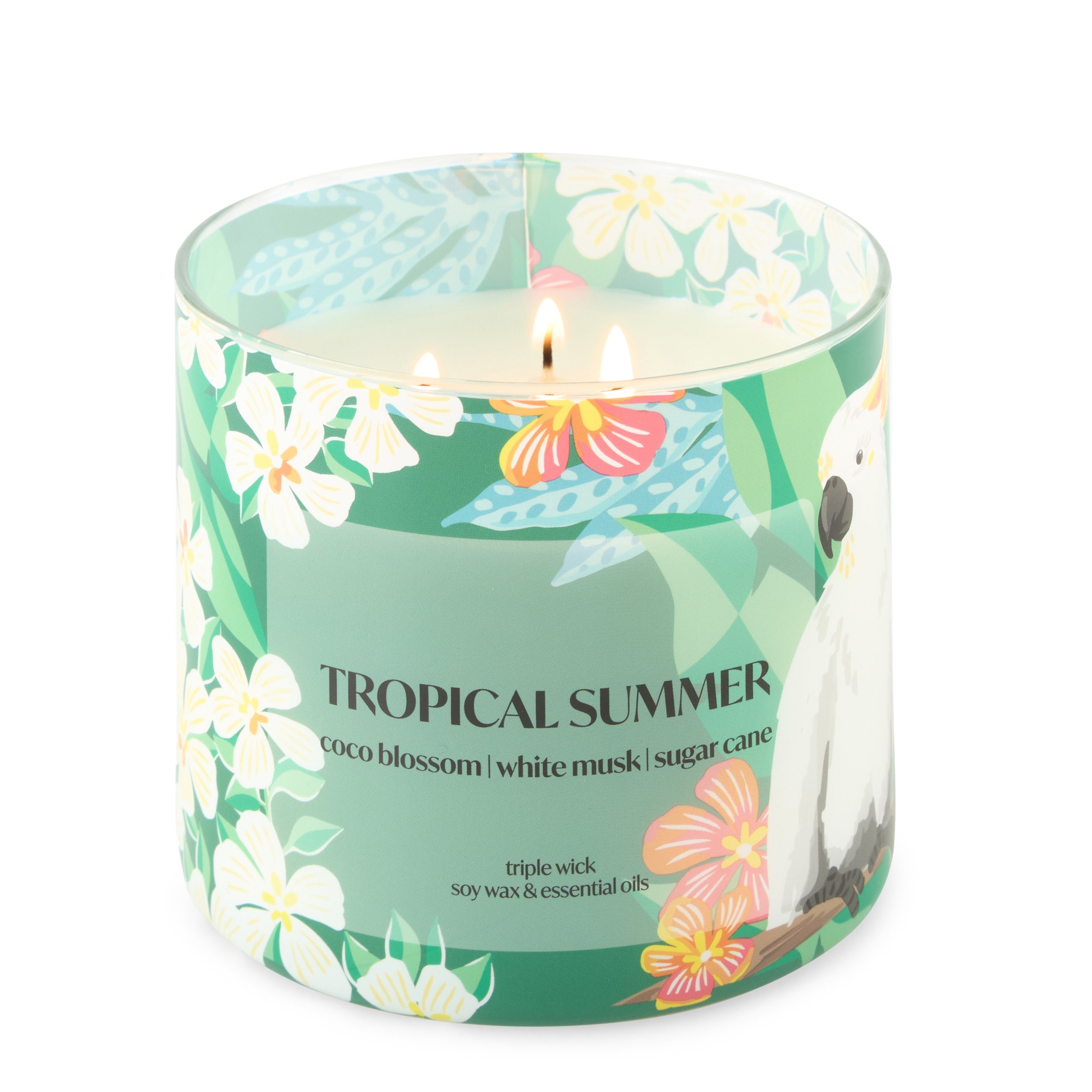 7462171A_O_JCP_FV_TROPICALSUMMER.jpg