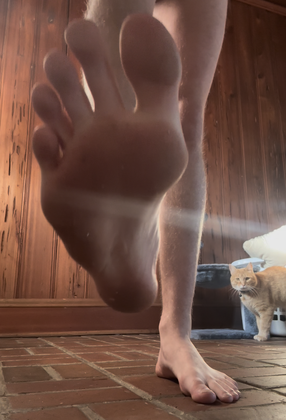 Screenshot 2026-01-18 at 2.00.49 PM.png