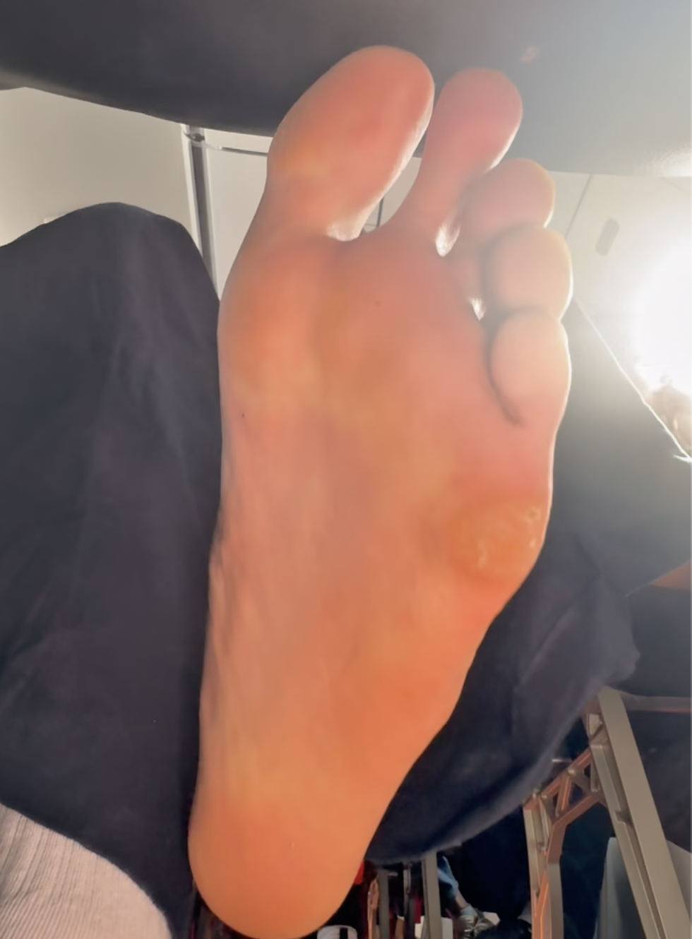 Screenshot 2026-02-12 at 5.38.40 PM.png