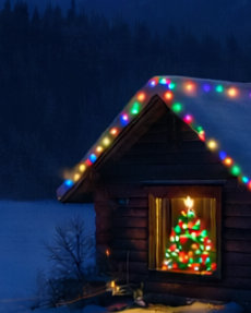 Happy Holidays and Happy New Year! From the ProDentalFx Family to You And Yours!🎄🎁 😍