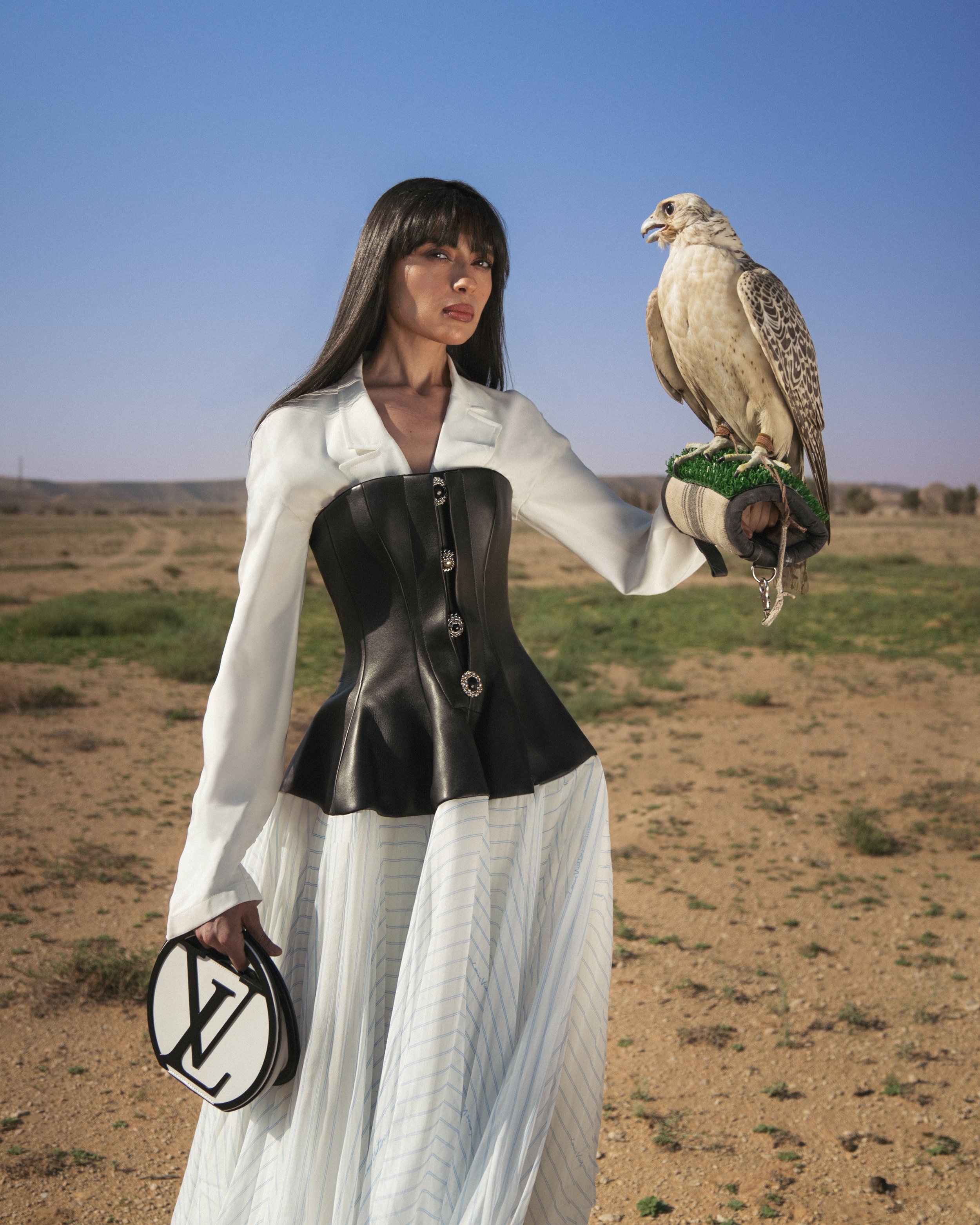 2nd_LV_final (falcon 1).jpg