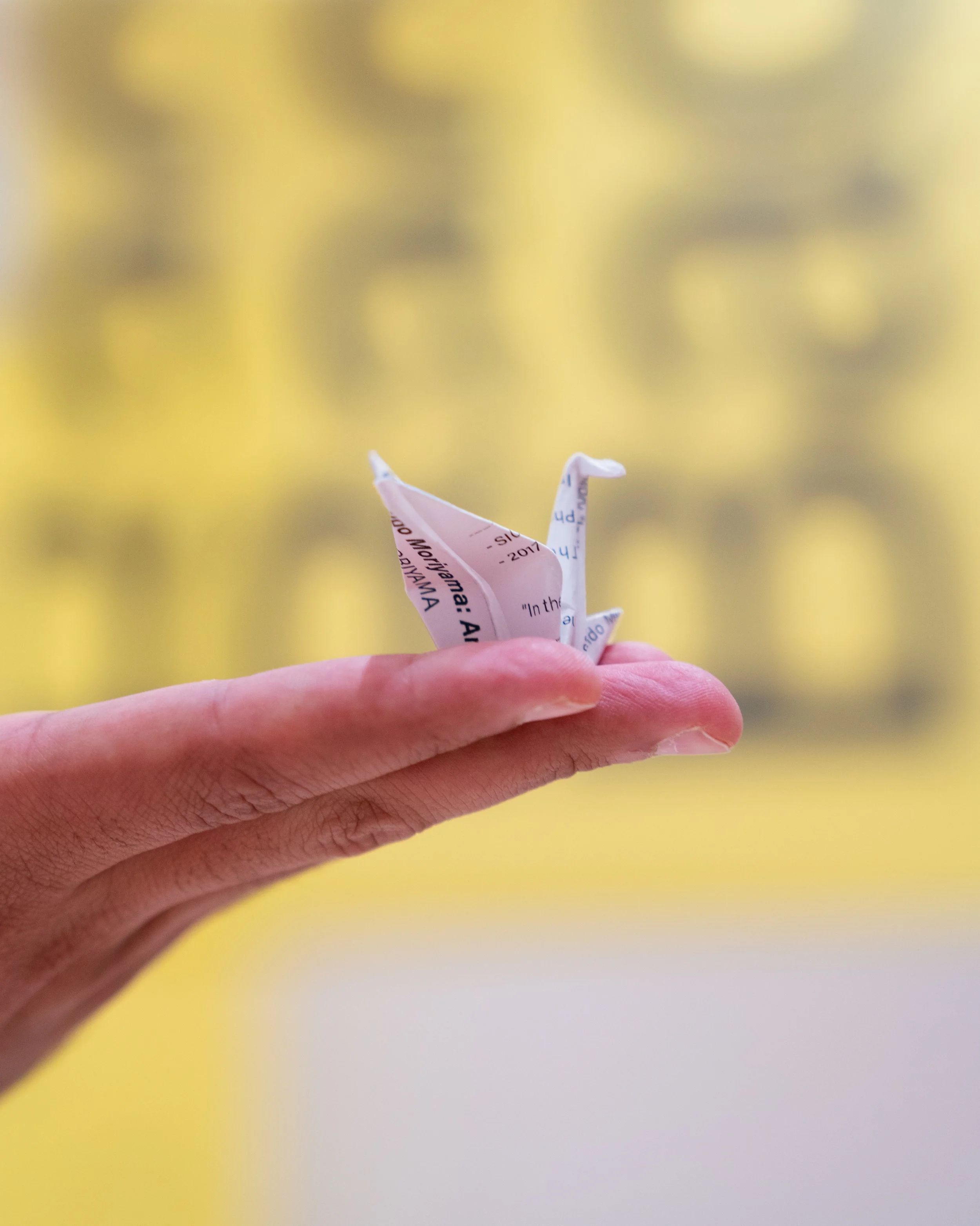 PAPERBACK-DAY2-EDITED 4x5-04143.jpg