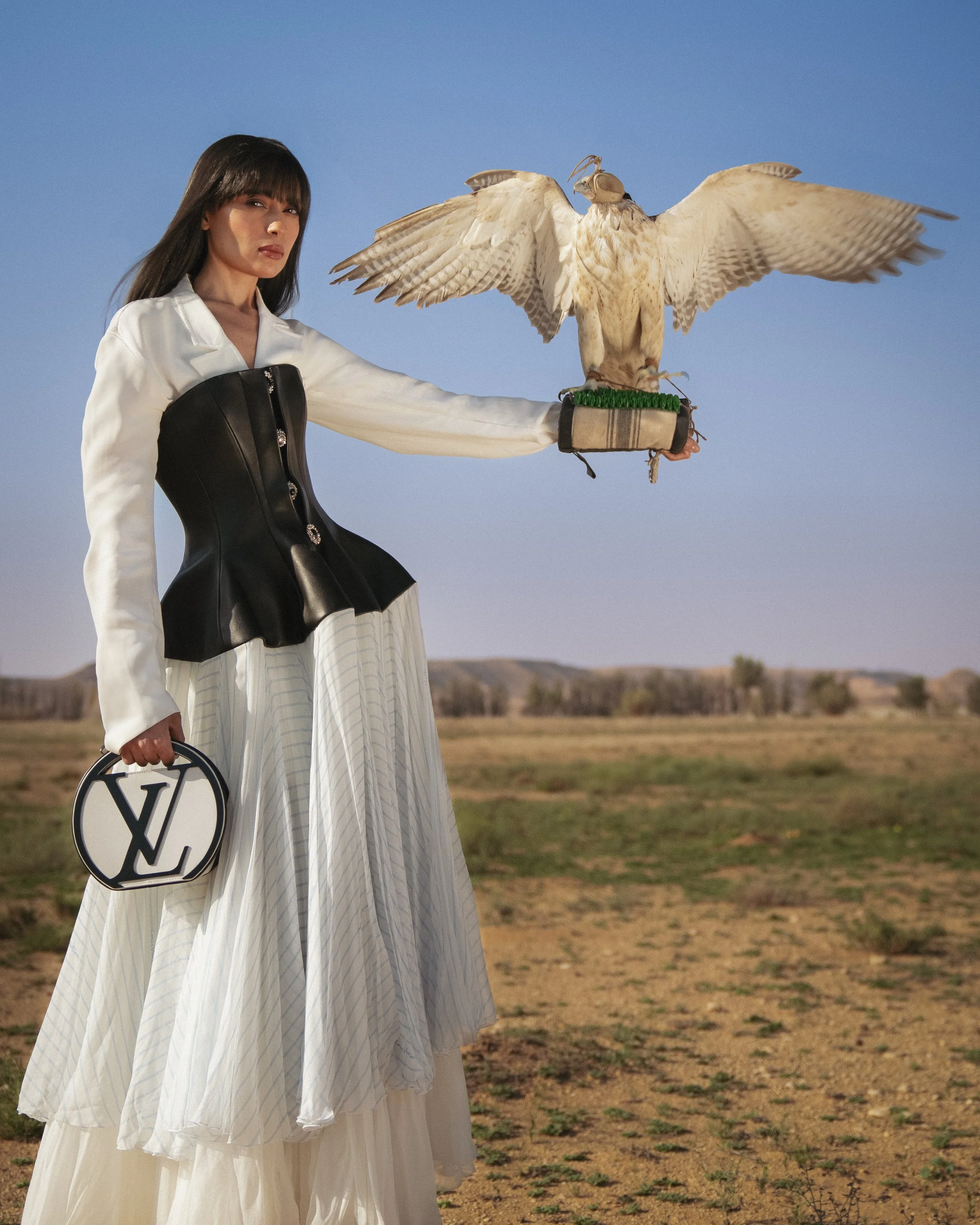 2nd_LV_final (falcon 2).jpg