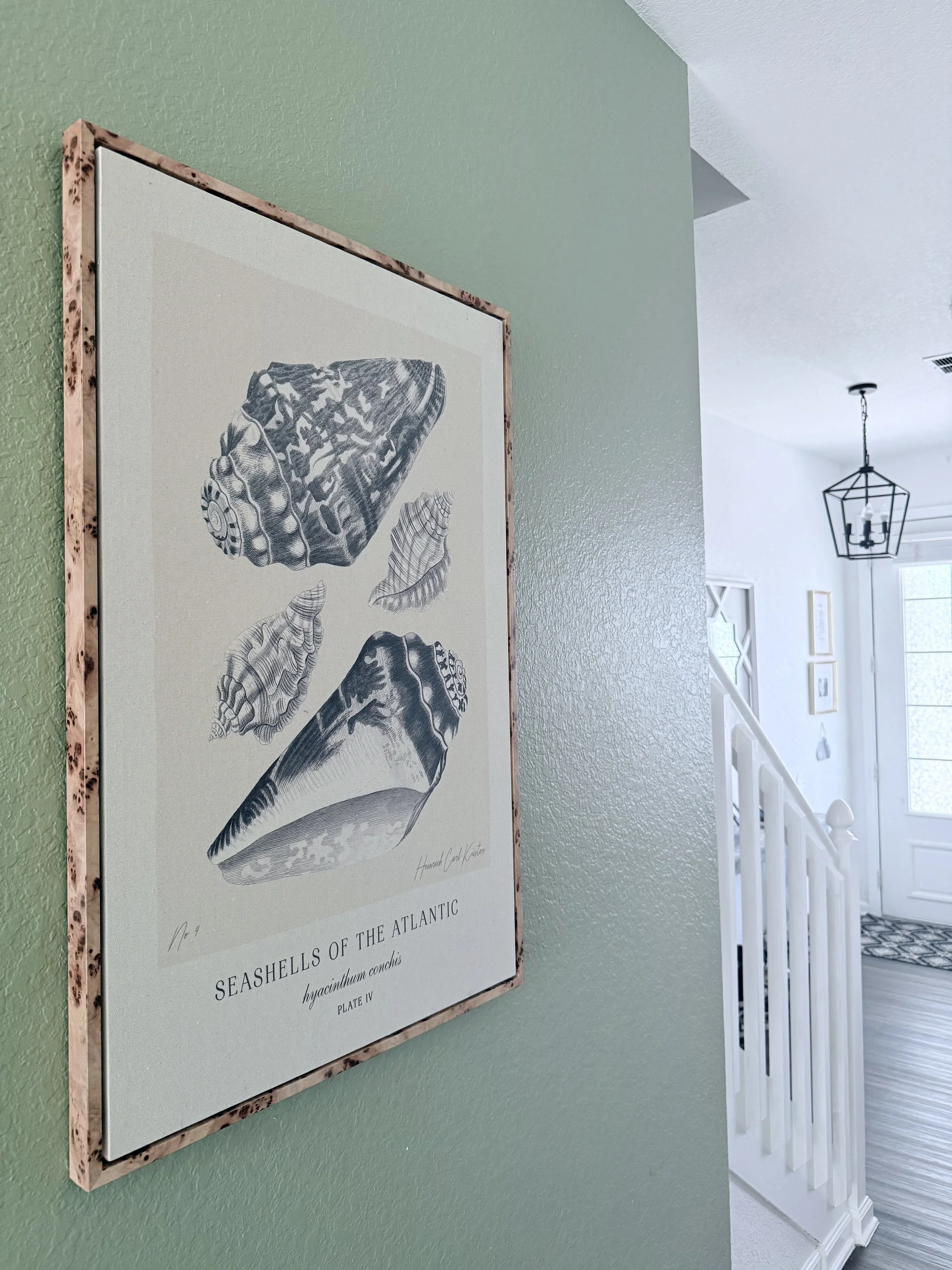 IMG_20260422_135633 (9).jpg