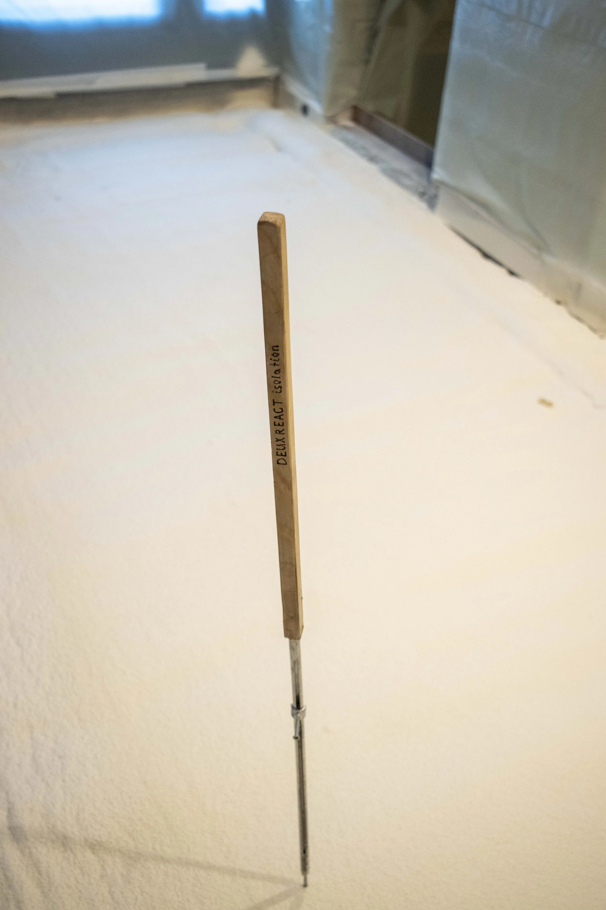 IMG_4642_deuxreactisolation projete.jpg