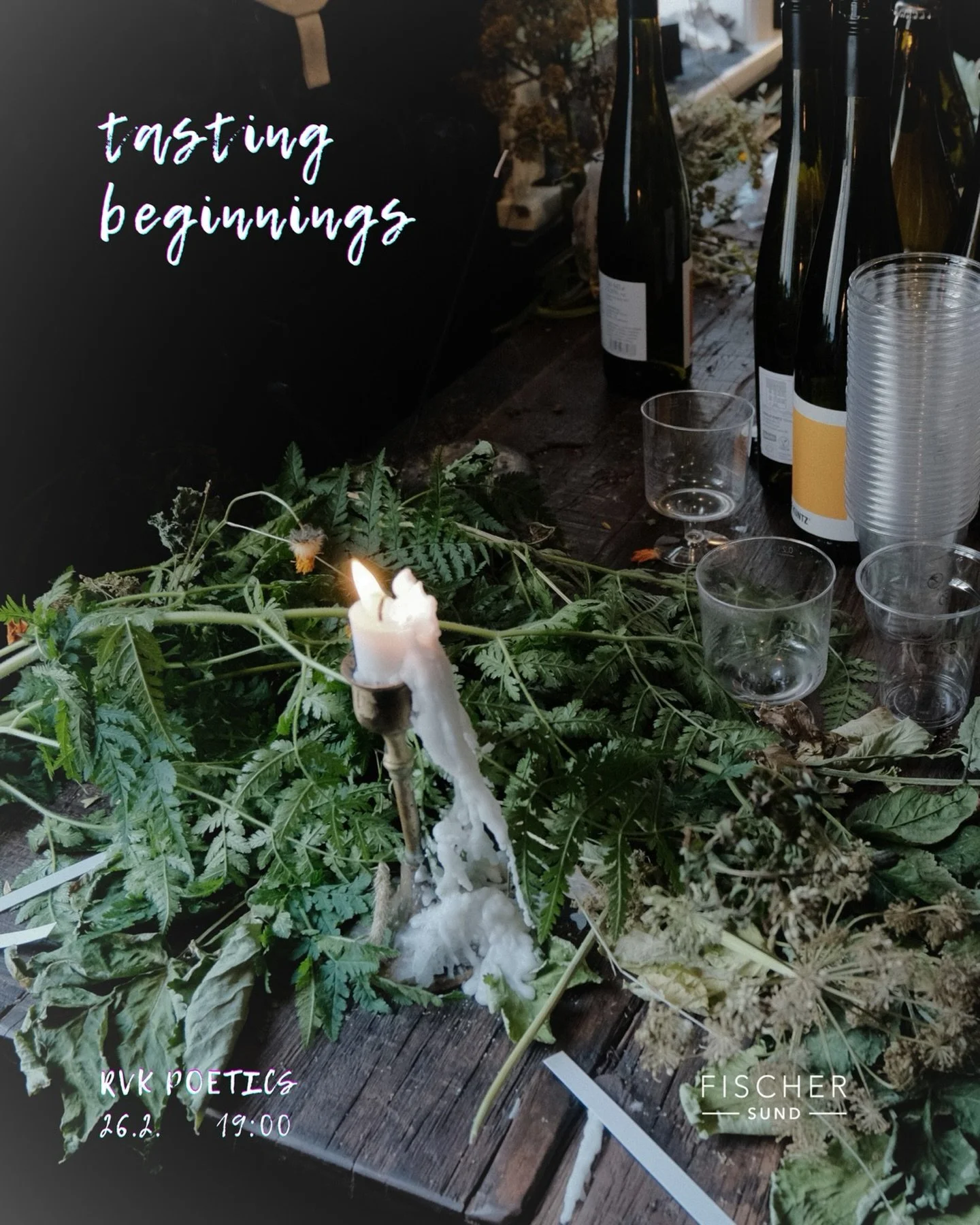Tasing beginnings