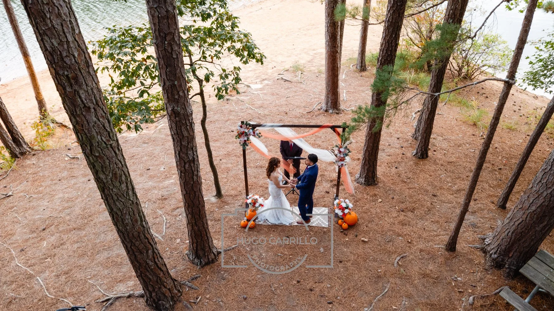 A wedding ceremony taking place outdoors among tall pine trees, with a bride and groom holding hands under a decorated arbor, officiant standing behind them, and fall-themed floral arrangements and pumpkins at the base of the arbor.