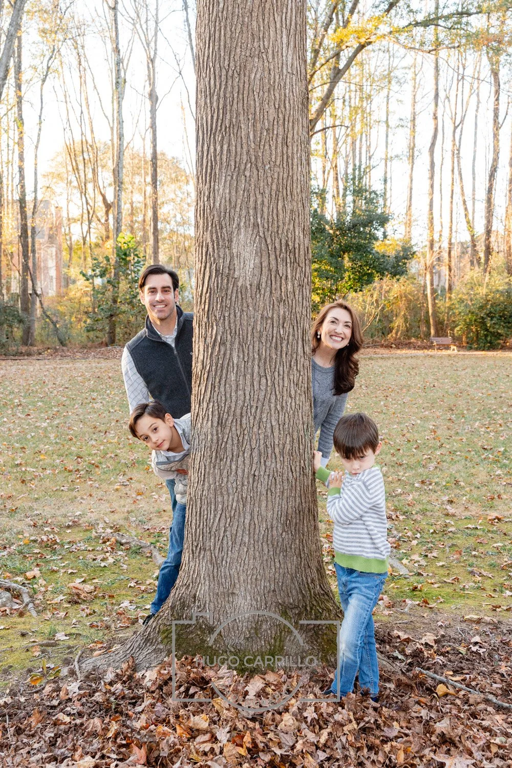 Family of four playing peekaboo behind a large tree in a park with autumn leaves on the ground and trees in the background.