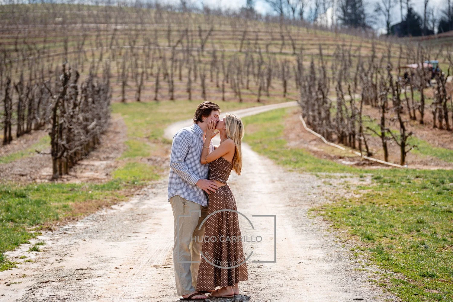 A couple sharing a kiss on a dirt path through a vineyard with leafless grapevines and a blue sky.