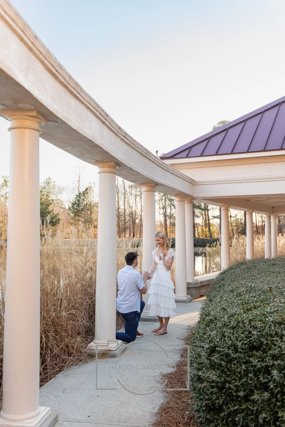 A man proposing marriage to a woman outdoors under a pergola with columns, near a pond and surrounded by dry grass and bushes, during sunset.