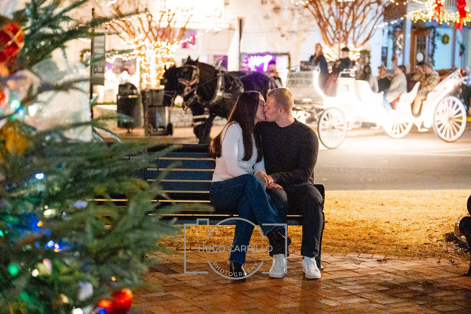 A couple sits on a park bench kissing at night during the holiday season, with a decorated Christmas tree in the foreground and a horse-drawn carriage with passengers in the background.
