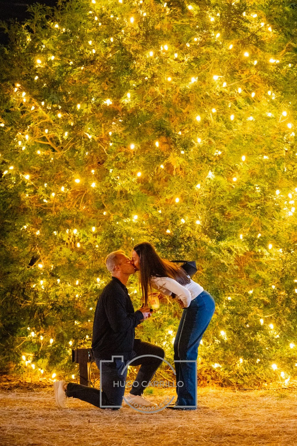 A couple kissing during a proposal in front of a large, illuminated Christmas tree at night.