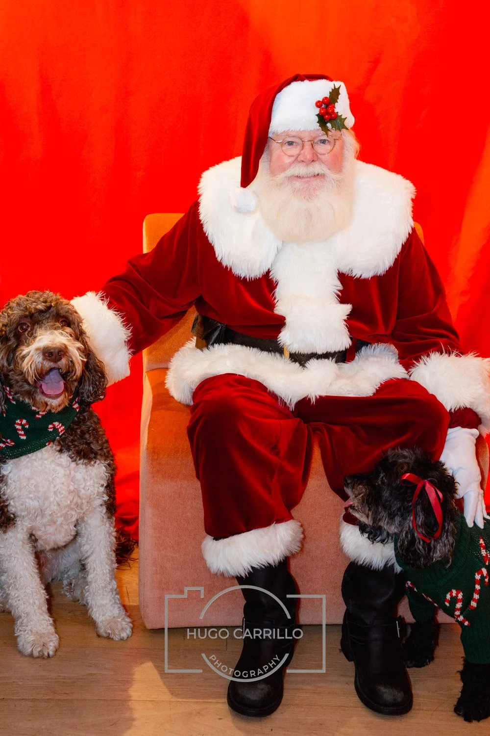 Santa Claus sitting on a chair with two dogs, one on each side, against a red background. Santa is dressed in a red suit with white fur trim, wearing glasses, and has a holly decoration on his hat. The dogs are wearing holiday sweaters, and Santa is 