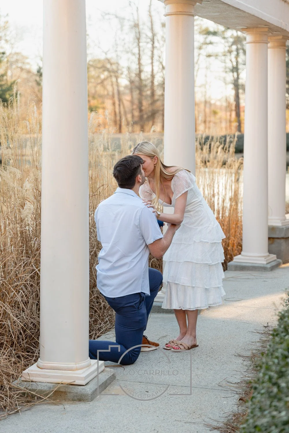 A couple is engaged in a marriage proposal outdoors, with the man kneeling on one knee and the woman leaning forward to accept a kiss, surrounded by white columns and dried grasses.