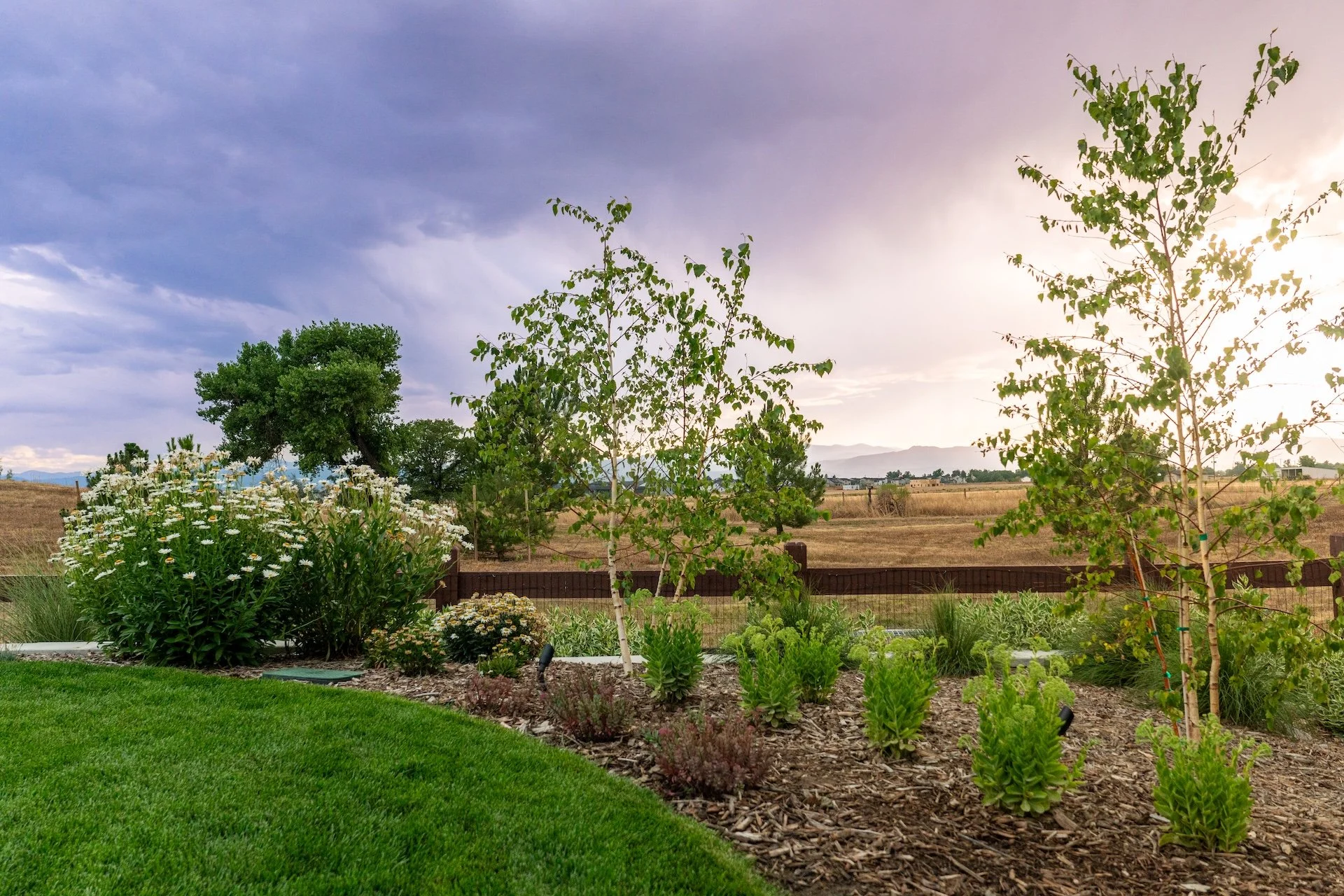 Luxury backyard landscape in Greeley CO