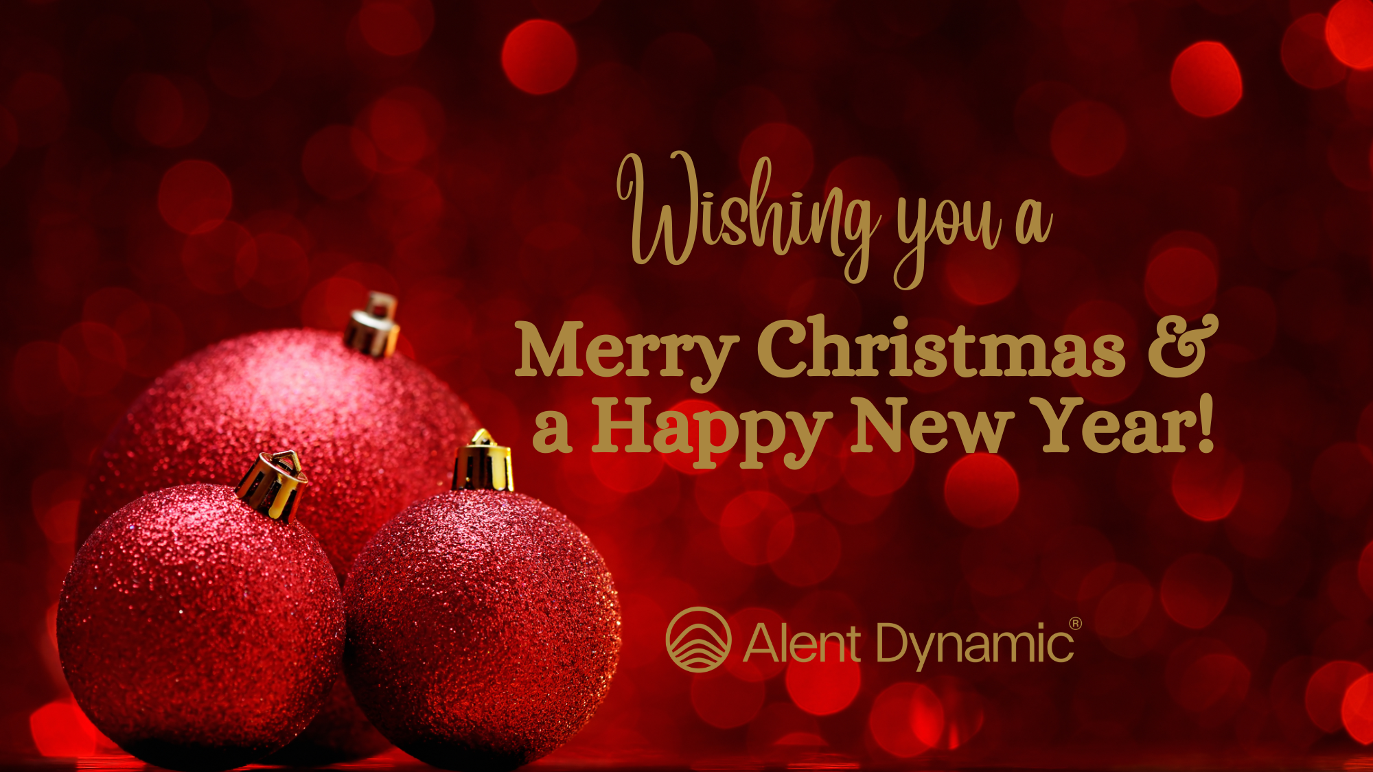 Merry Christmas &amp; a Happy New Year!