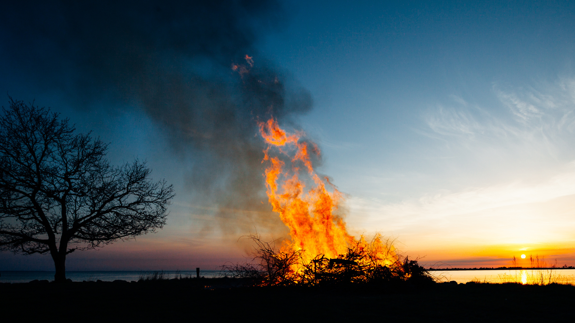 Walpurgis Night