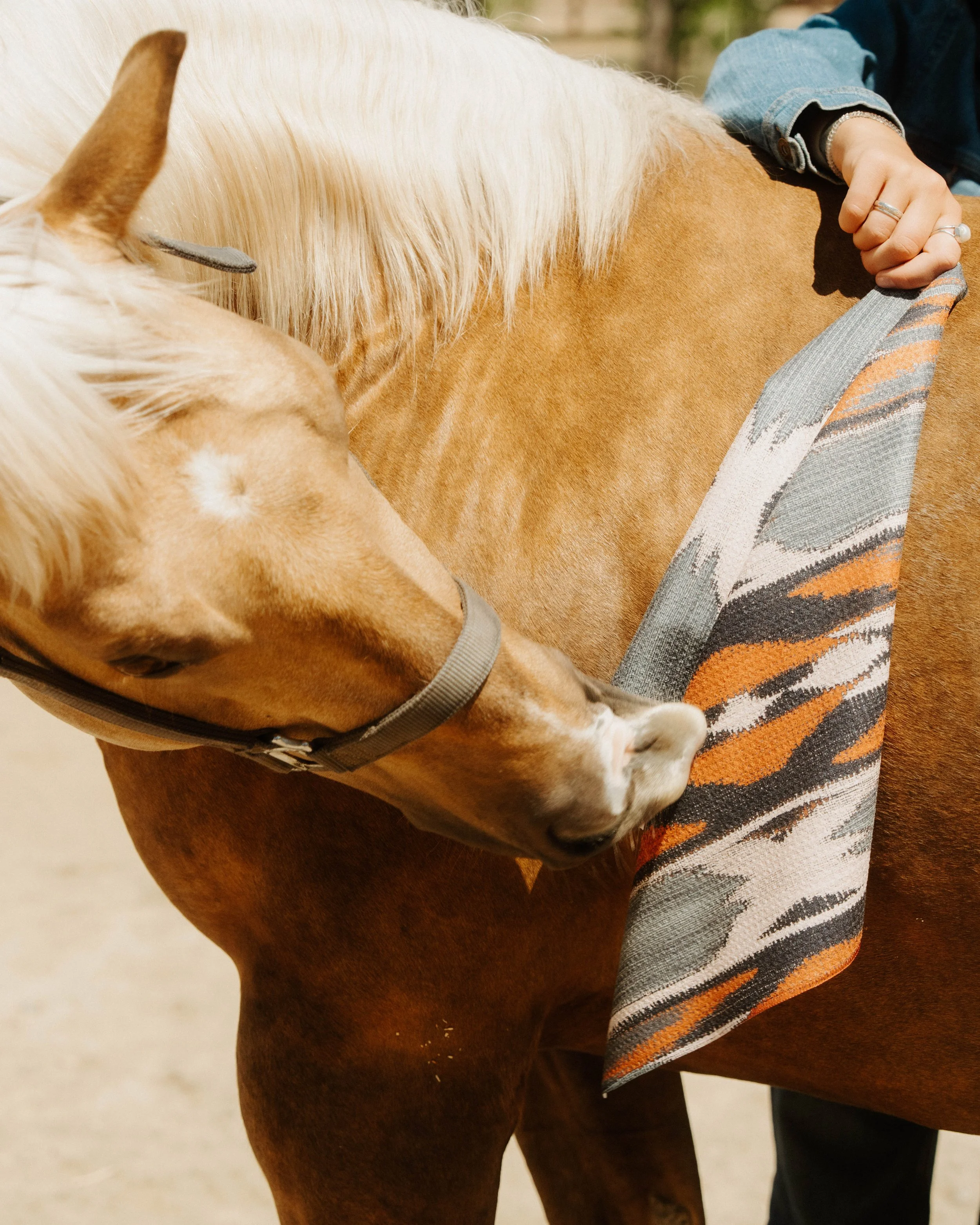 Western Shoot-125.jpg