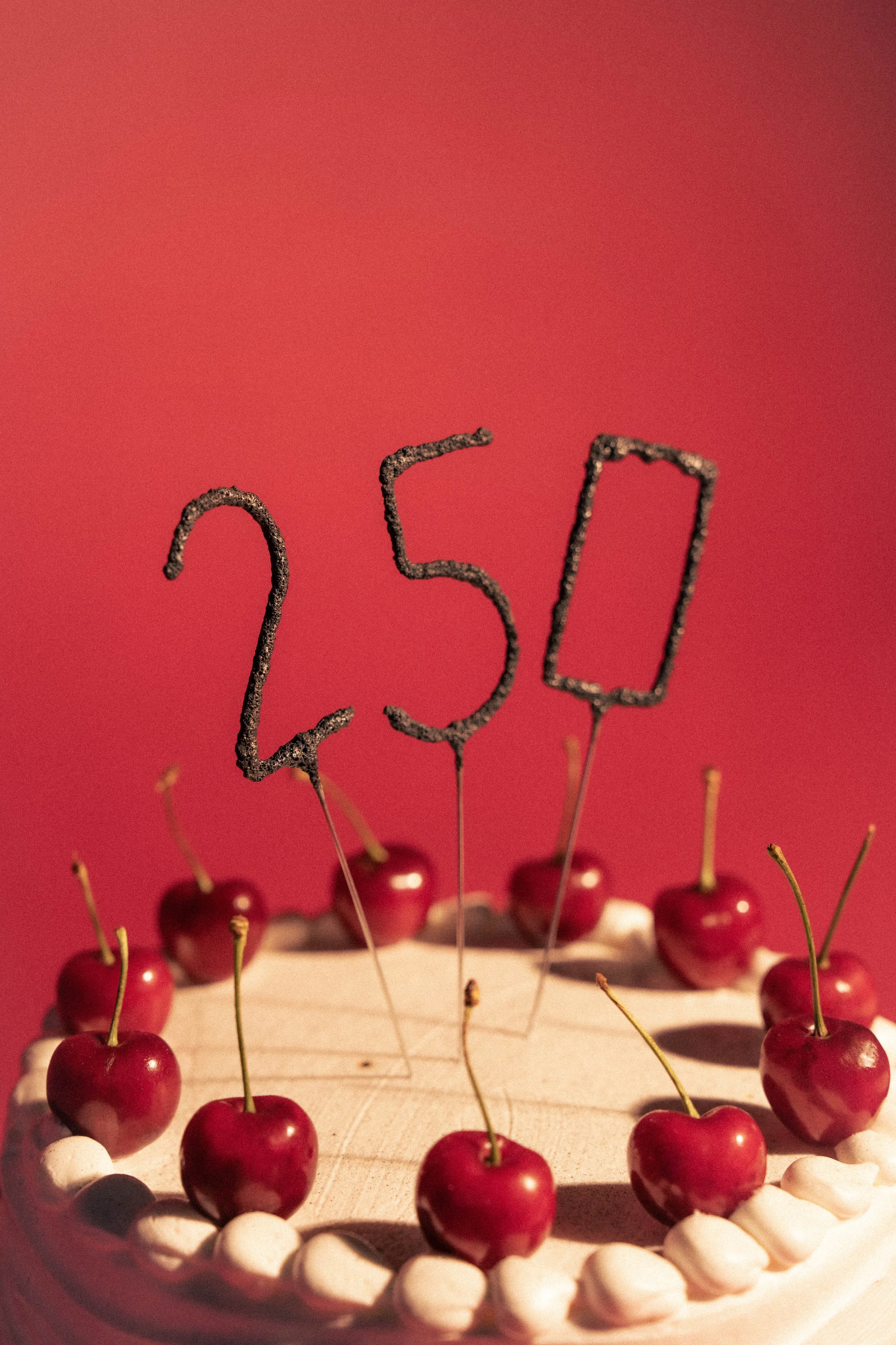 250 America Birthday-8.jpg