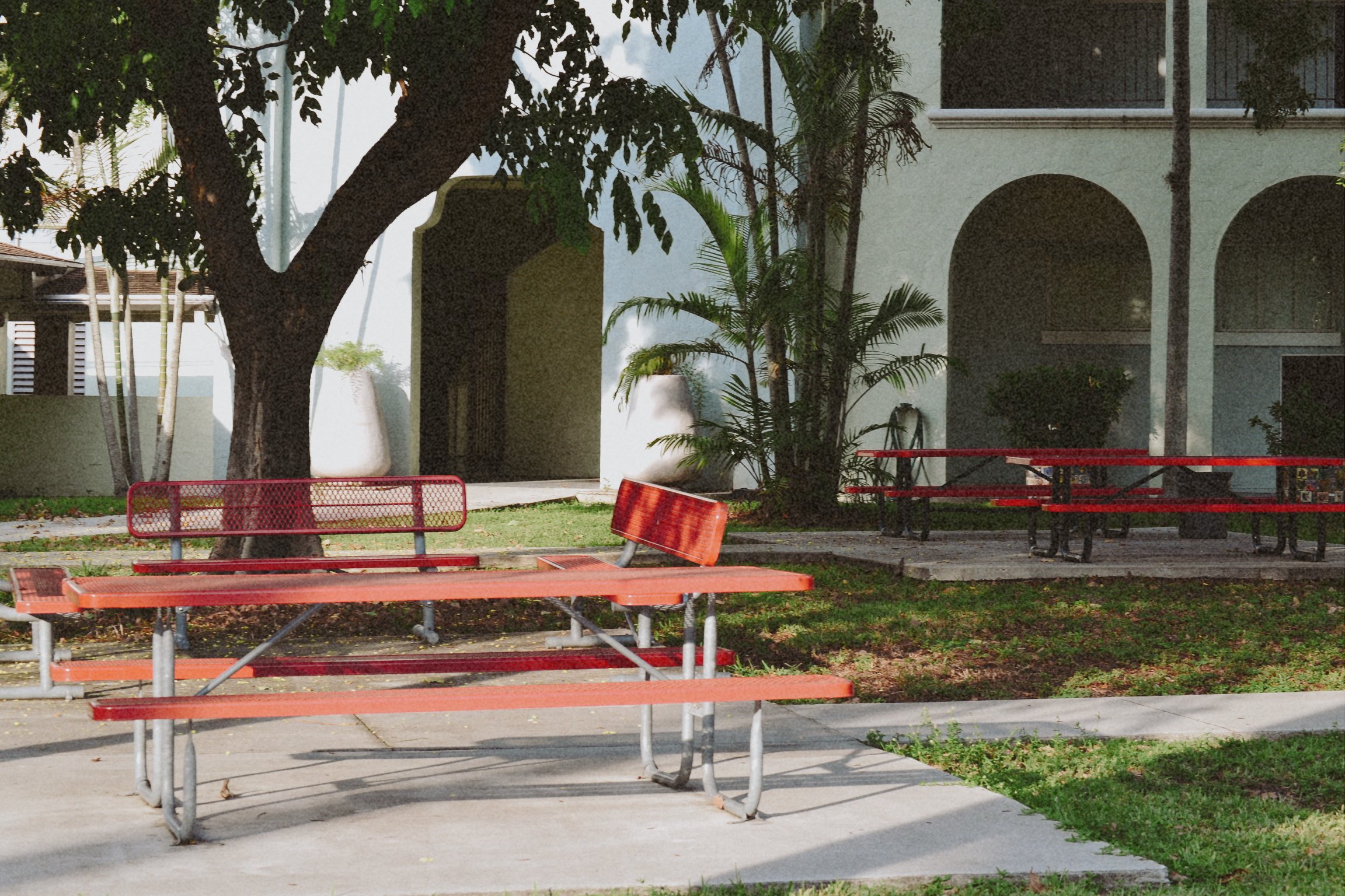 School Bench