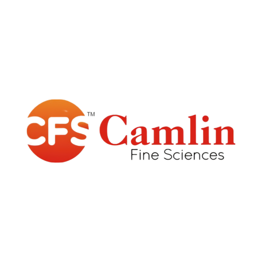 CAMLIN LOGO.png