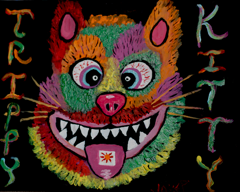 Trippy Kitty 2