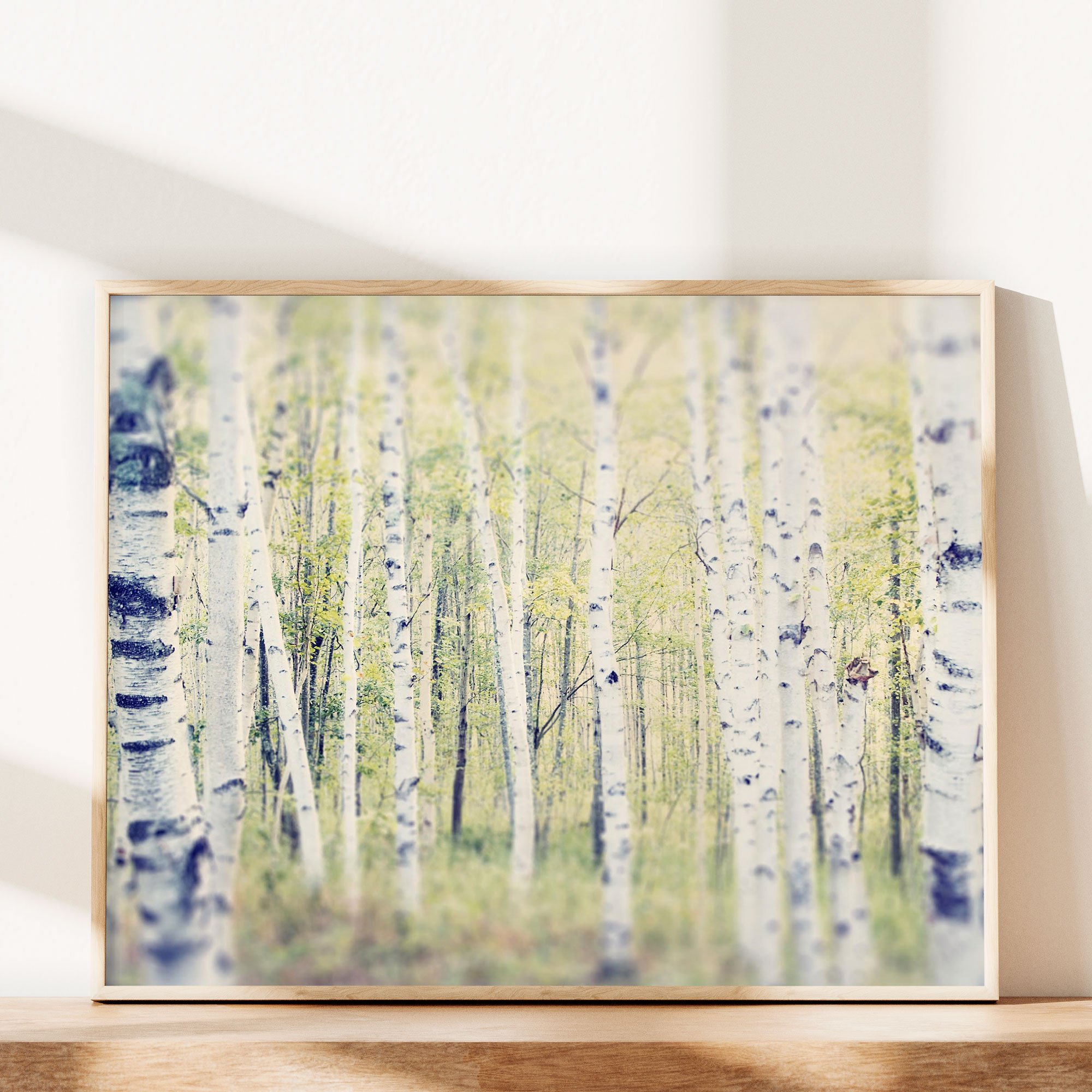 birch-trees-in-spring-print.jpg