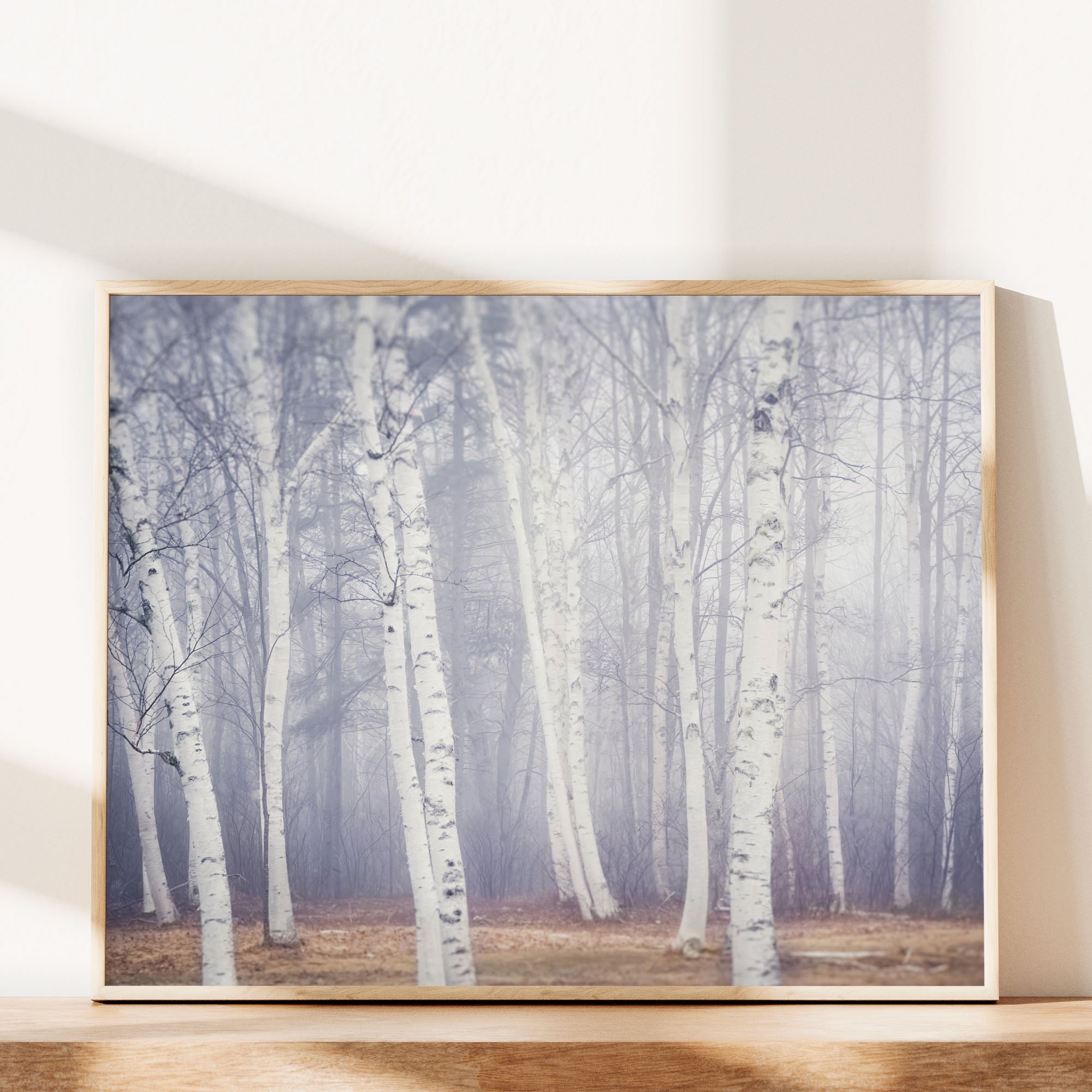 birch-trees-in-fog-print.jpg