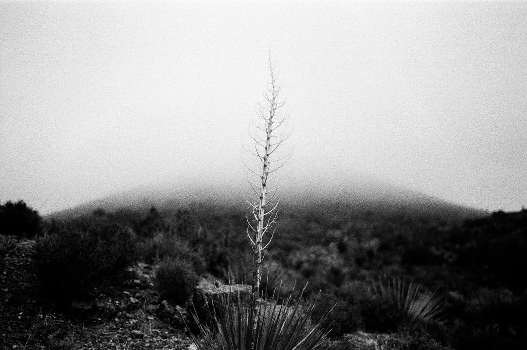 From a trip to Joshua Tree this Spring&mdash;truly one of the most stunning places I&rsquo;ve ever seen. I did shoot some color film, but there&rsquo;s something quite elegant with black and white in the desert. These photographs are on @kodak 5222, 