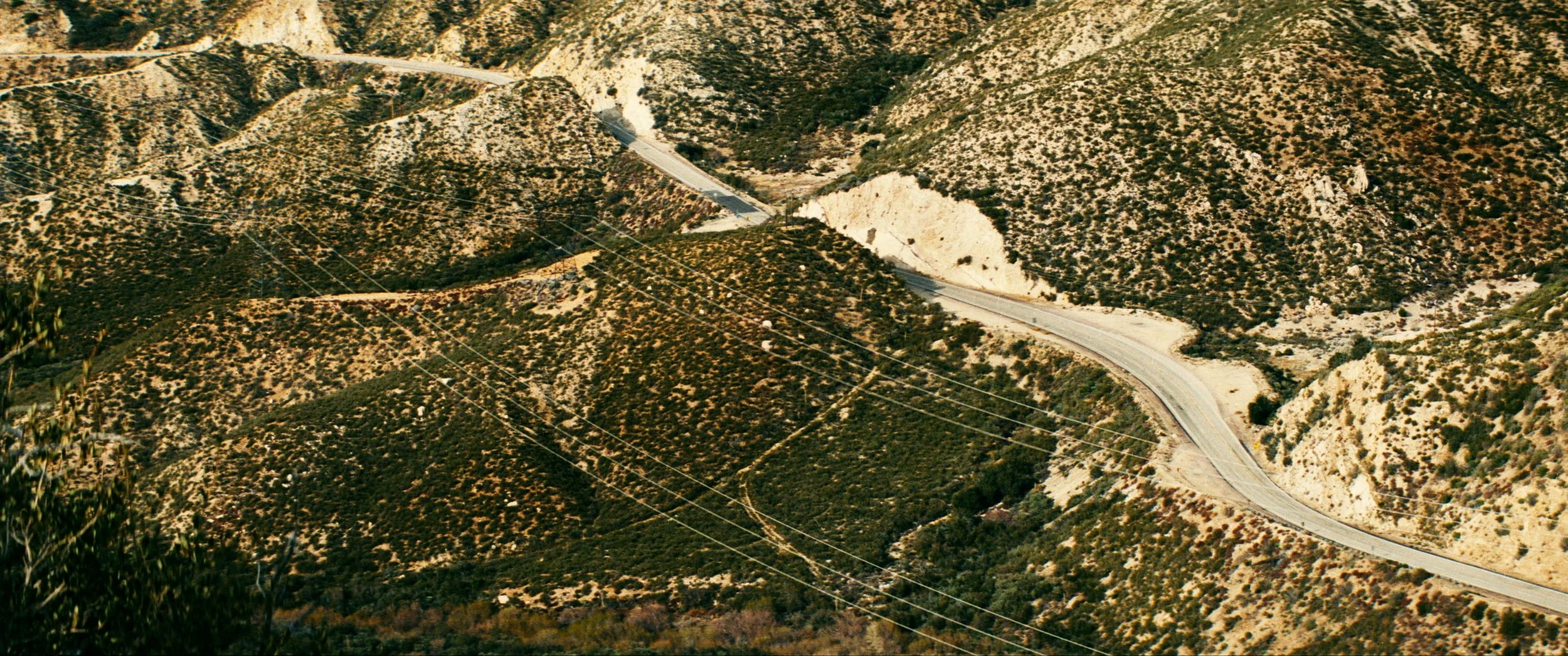 Camino_Stills-4K-sRGB_1.37.1.jpg