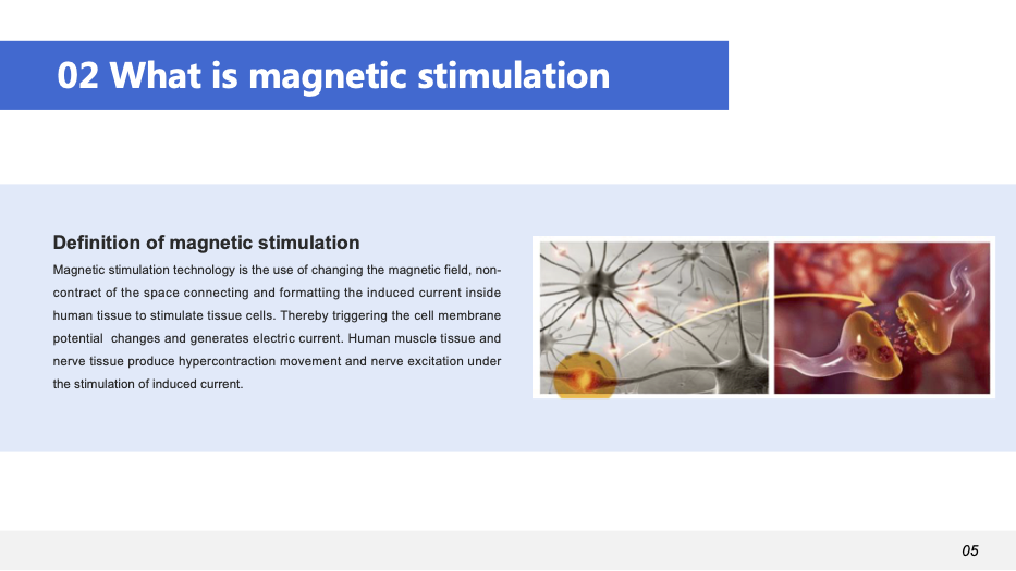 PelvicCure Catalog-6 (dragged).png