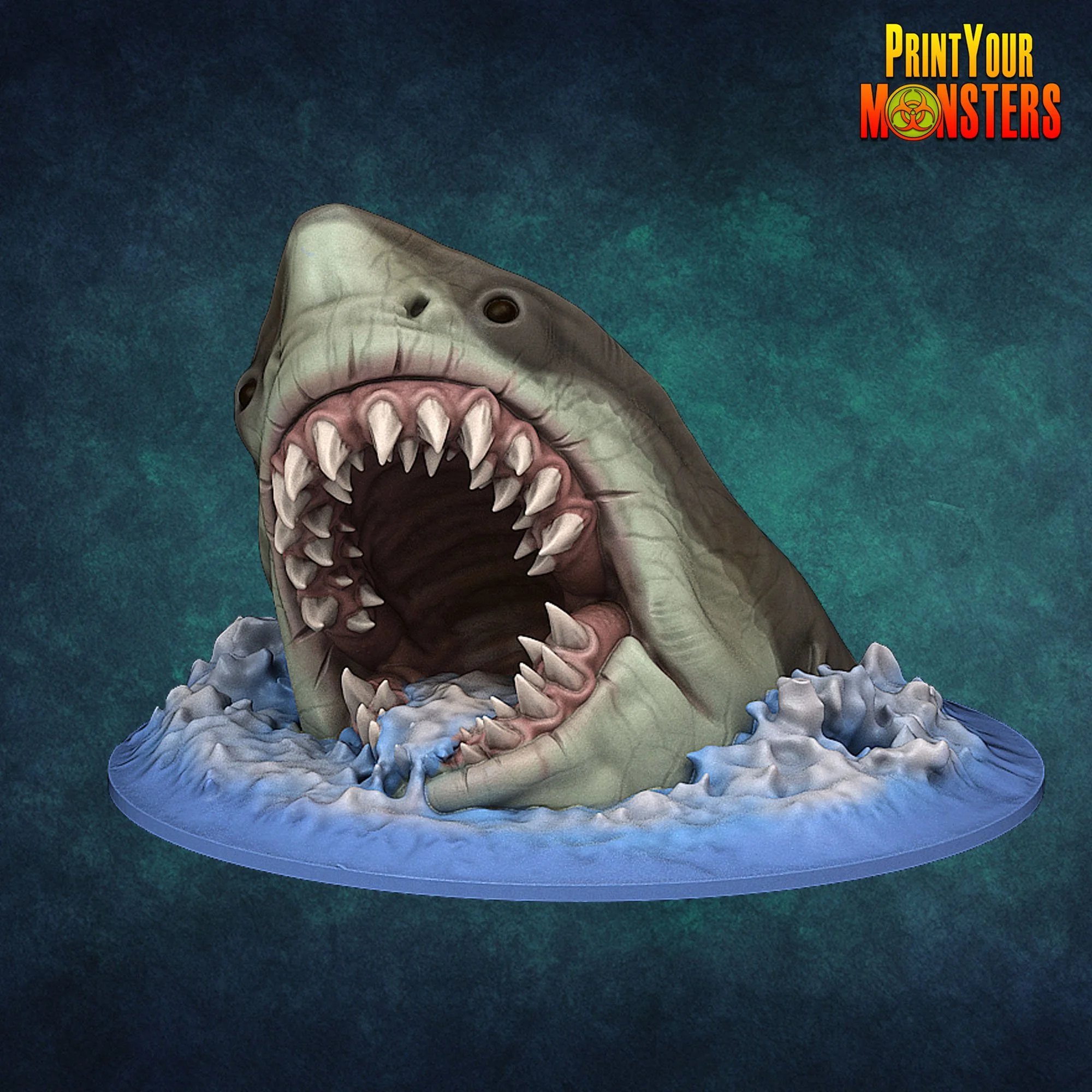 Shark 2.jpg