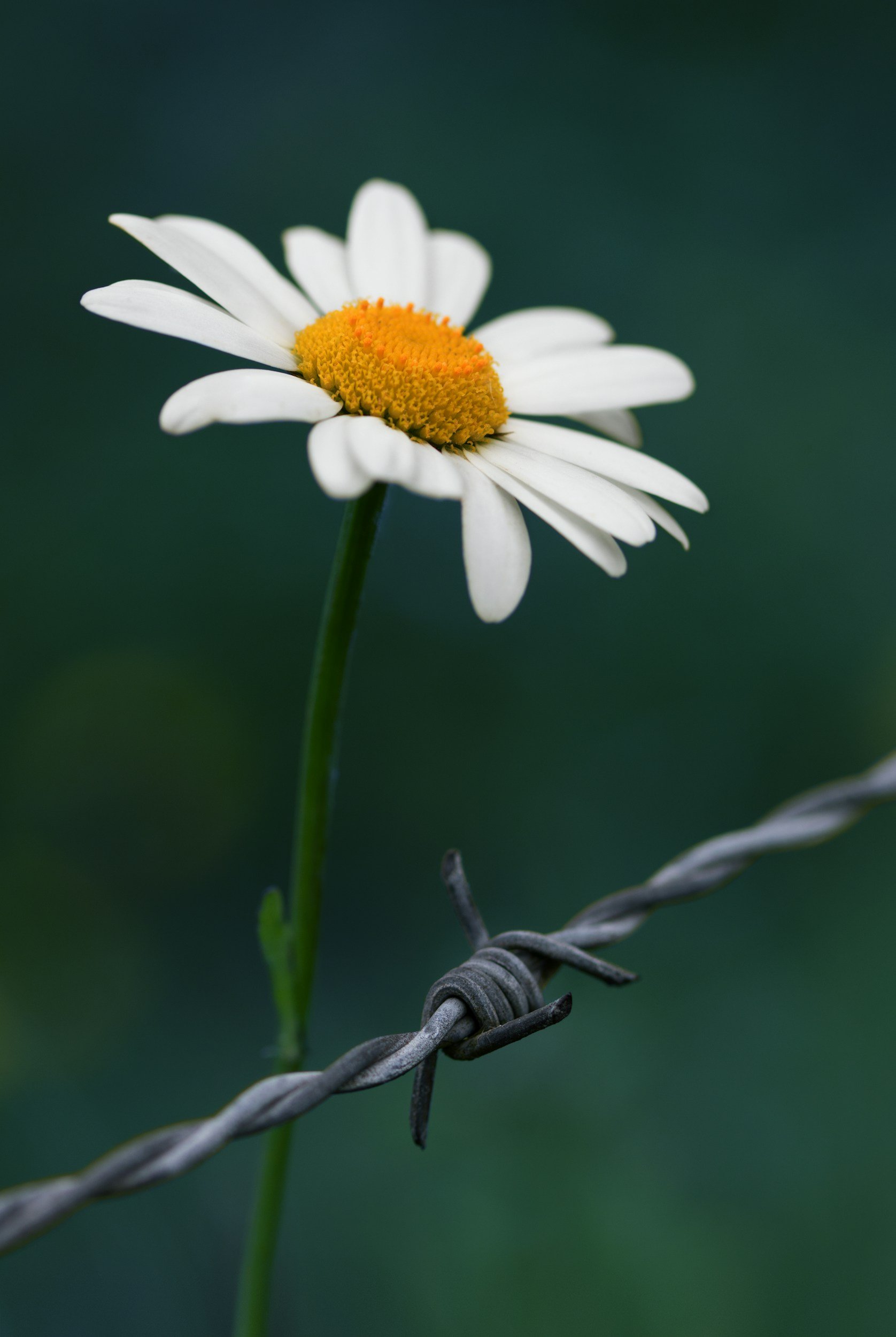 Therapy Intensives, Burlington, Ontario
