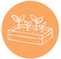 Plants growing out of planter box graphic