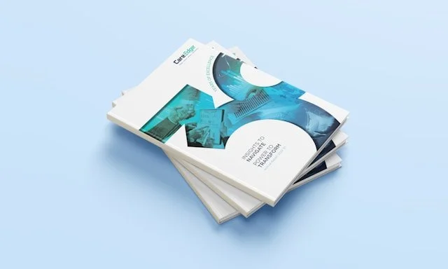 A stack of bound campaign case statements