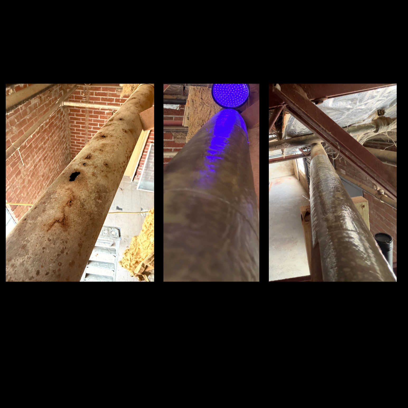 Untitled design (29).png