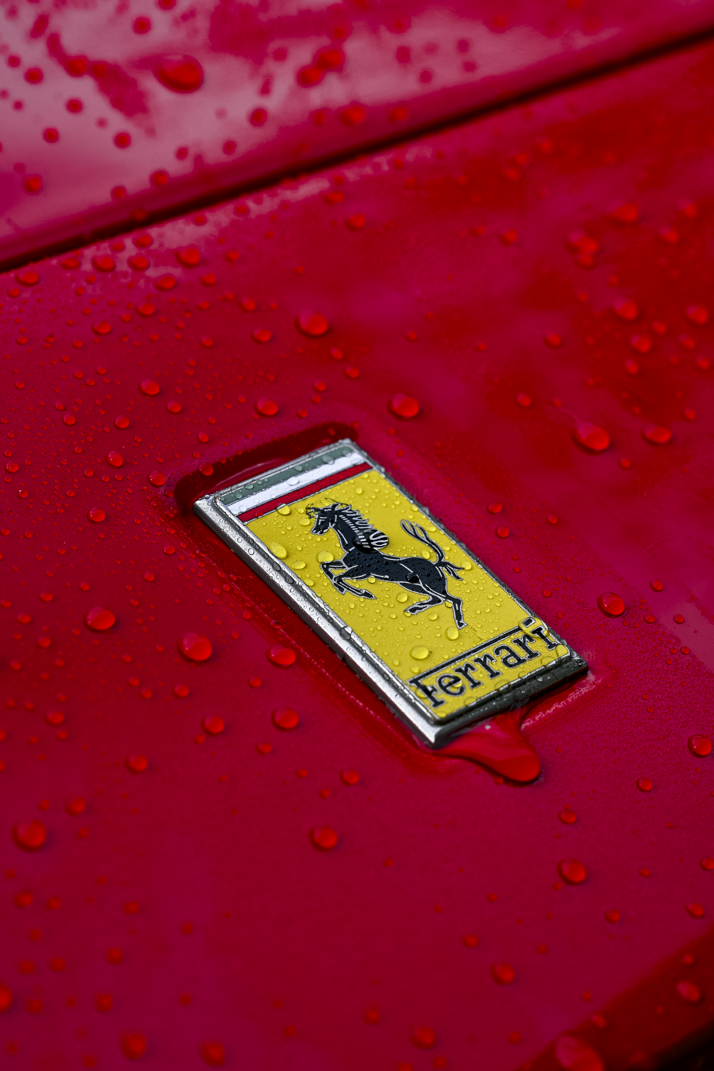 DSC_1362.png