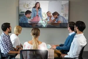 Video Conference Interpreters?